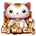 Big Win Cat
