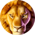 Lion Thunder Spin Boost